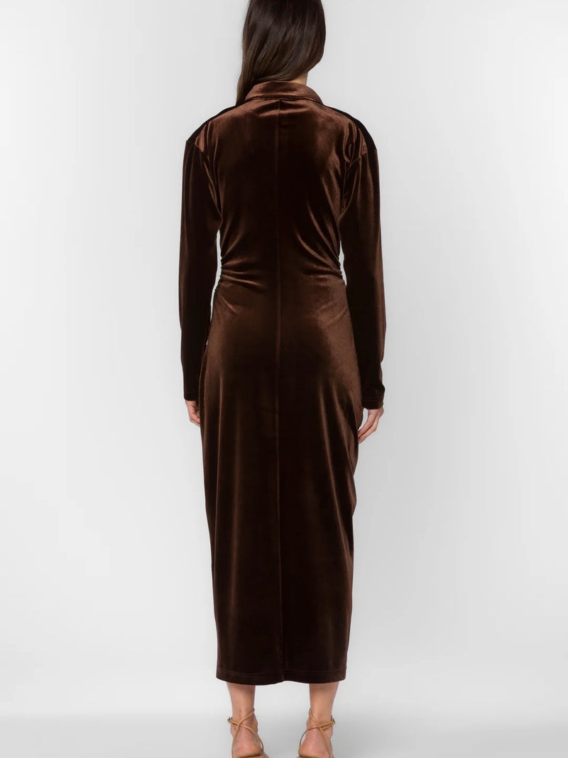 Phoenix Velvet Dress