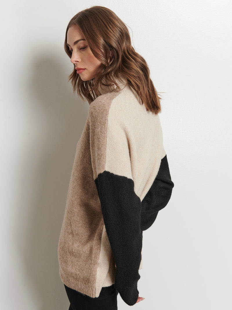 Charlie Color Block Turtleneck