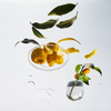 Yuzu – Candle Jar, 10 oz