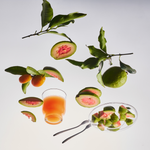 Calamansi Guava – Candle Jar, 10 oz