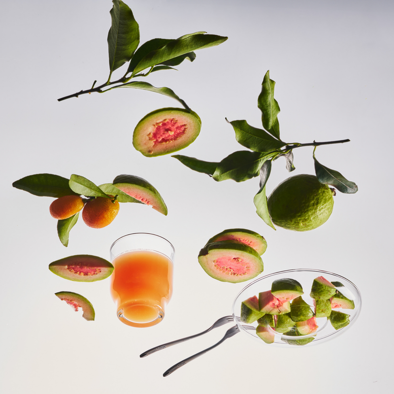 Calamansi Guava – Candle Jar, 10 oz