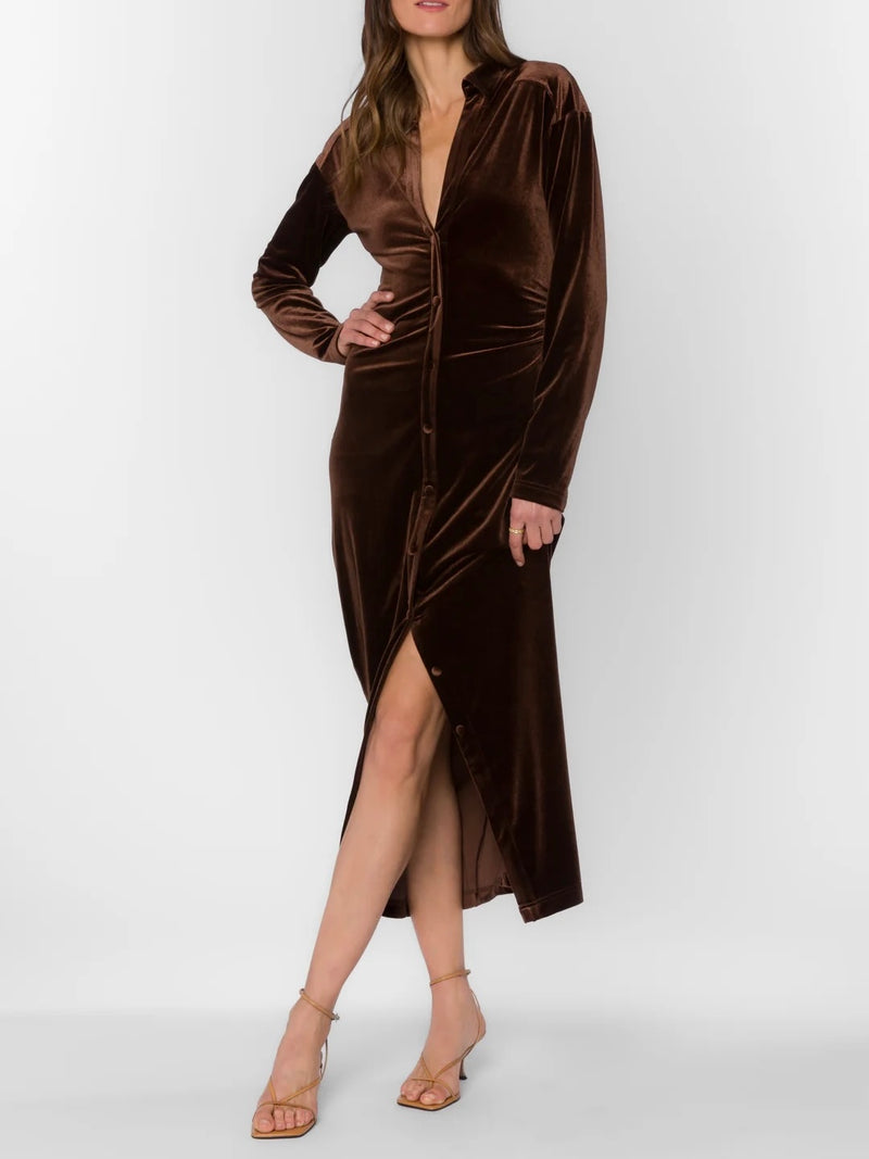 Phoenix Velvet Dress