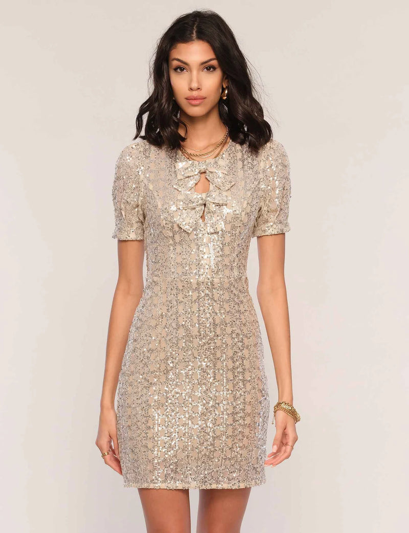 Vandon Dress in Silver