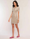 Vandon Dress in Silver